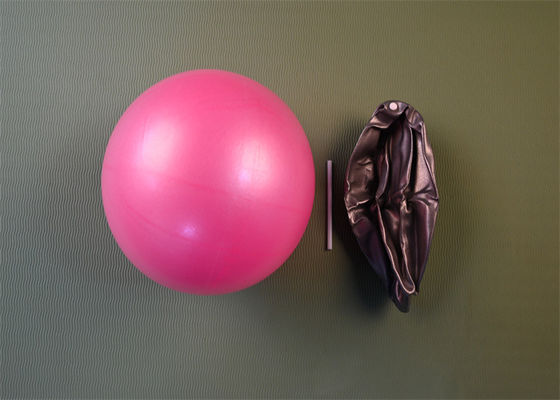 Stable Mini Yoga Ball: Enhance Your Pilates and Gym Workouts with a 25cm OD Fitness Ball